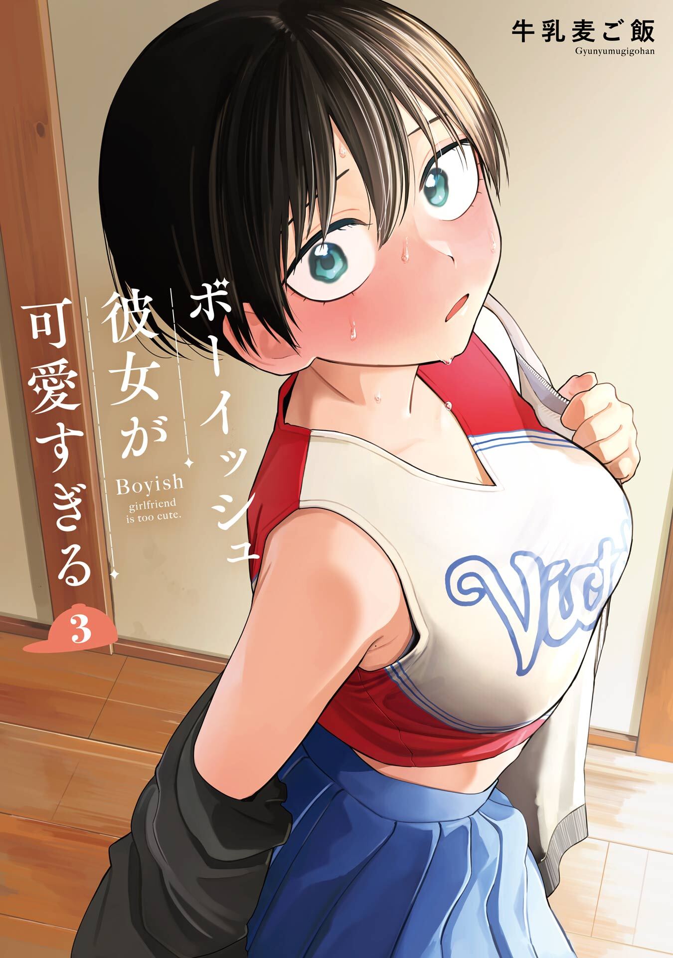 ボーイッシュ彼女が可愛すぎる 3巻