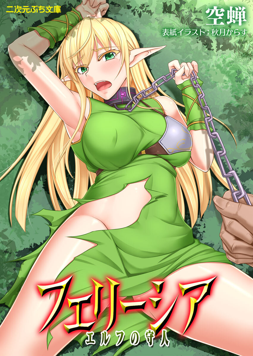 フェリーシア　エルフの守人