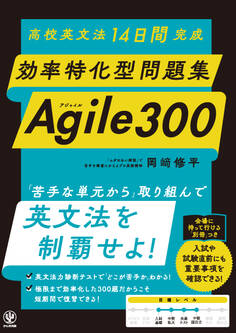高校英文法14日間完成 効率特化型問題集 Agile 300