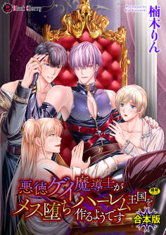 悪徳ゲイ魔導士がメス堕ちハーレム王国を作るようです 合本版