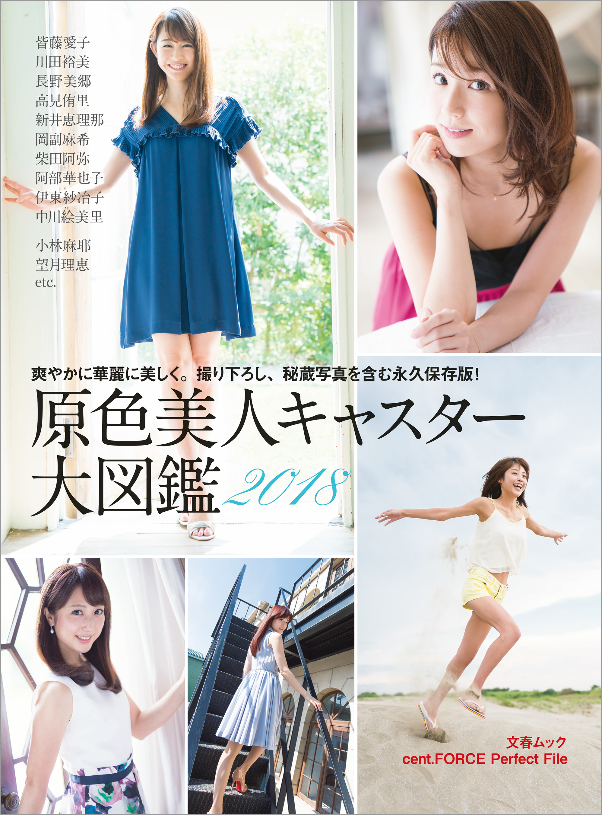 原色美人キャスター大図鑑2018　cent.FORCE　Perfect File【デジタル原色美女図鑑】