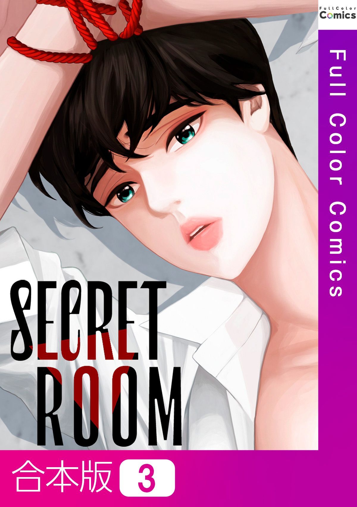 【合本版】SECRET ROOM