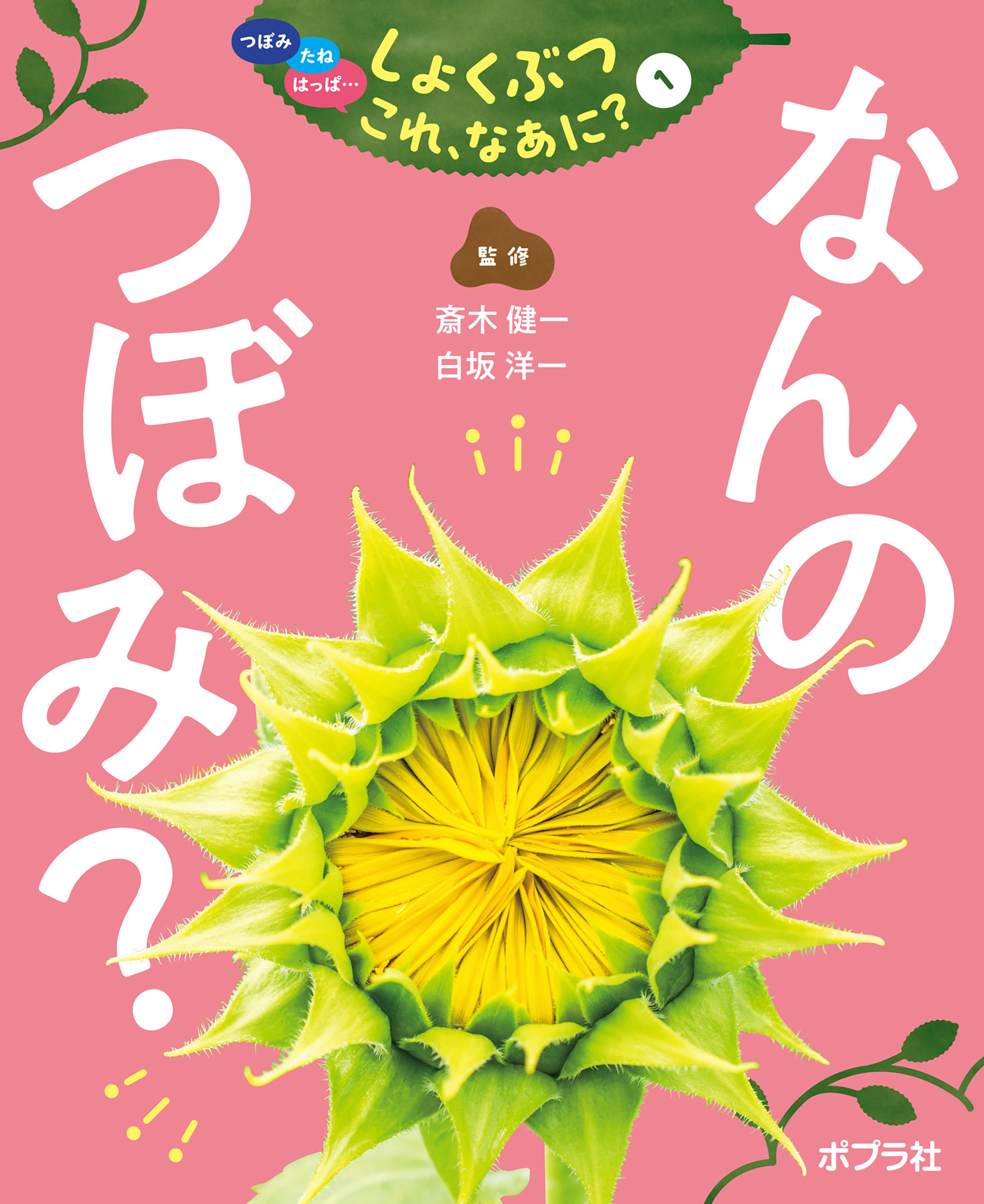 なんの　つぼみ？１　つぼみ・たね・はっぱ・・・　しょくぶつ　これ、なあに？