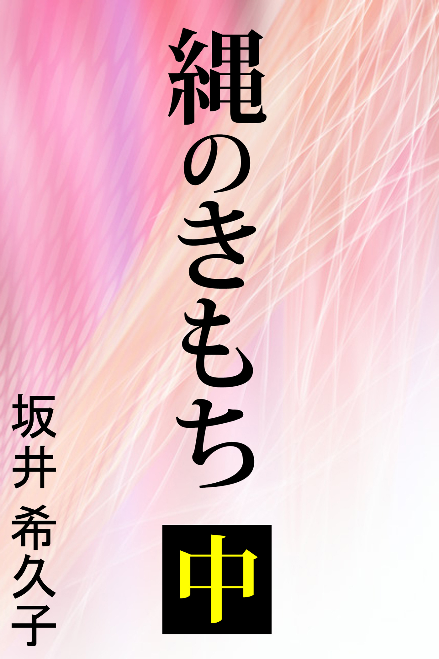 縄のきもち　中
