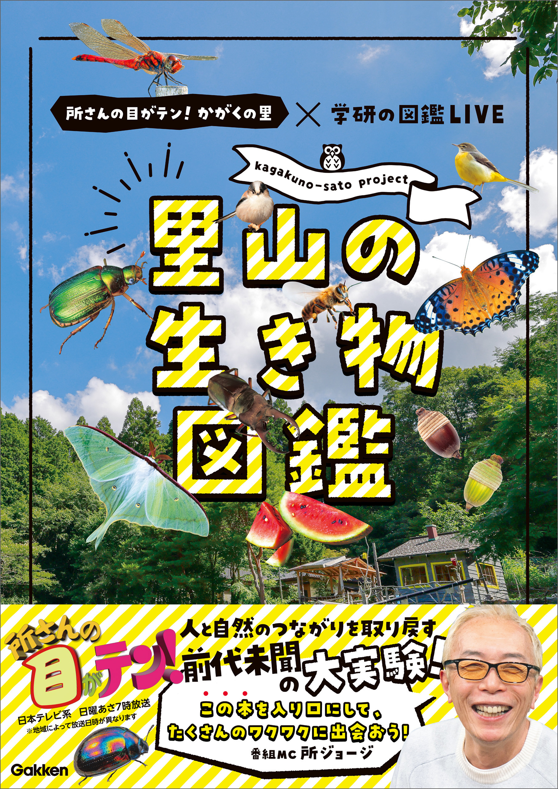 里山の生き物図鑑