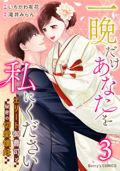 一晩だけあなたを私にください~エリート御曹司と秘密の切愛懐妊~