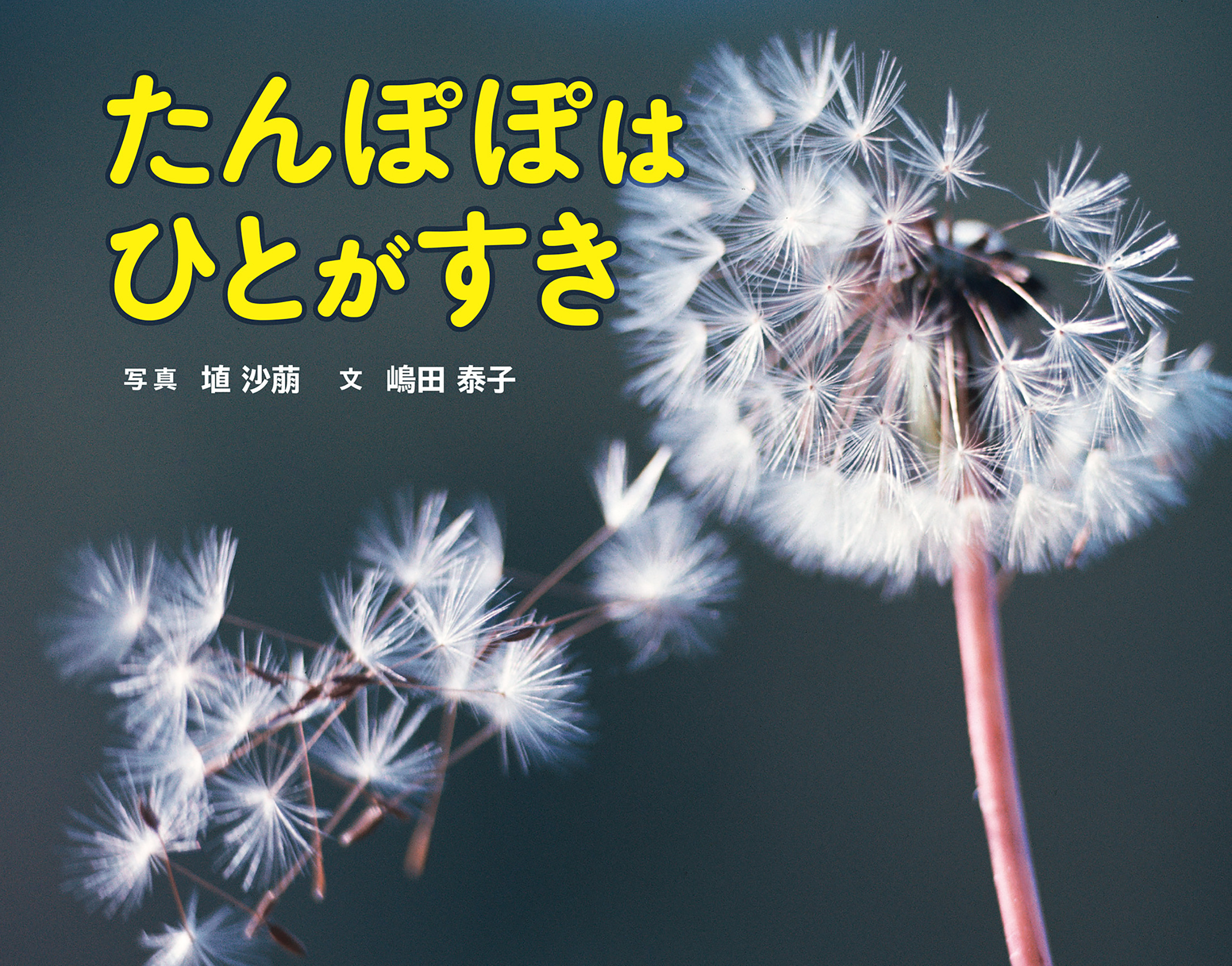 たんぽぽはひとがすき