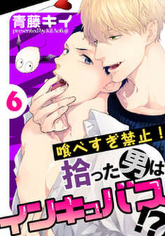 喰べすぎ禁止!~拾った男はインキュバス!?~