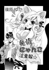 発情にゃんこ注意報