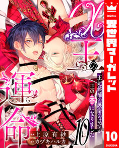 α王の運命~王妃候補の護衛のはずが王の番になりました~ 10