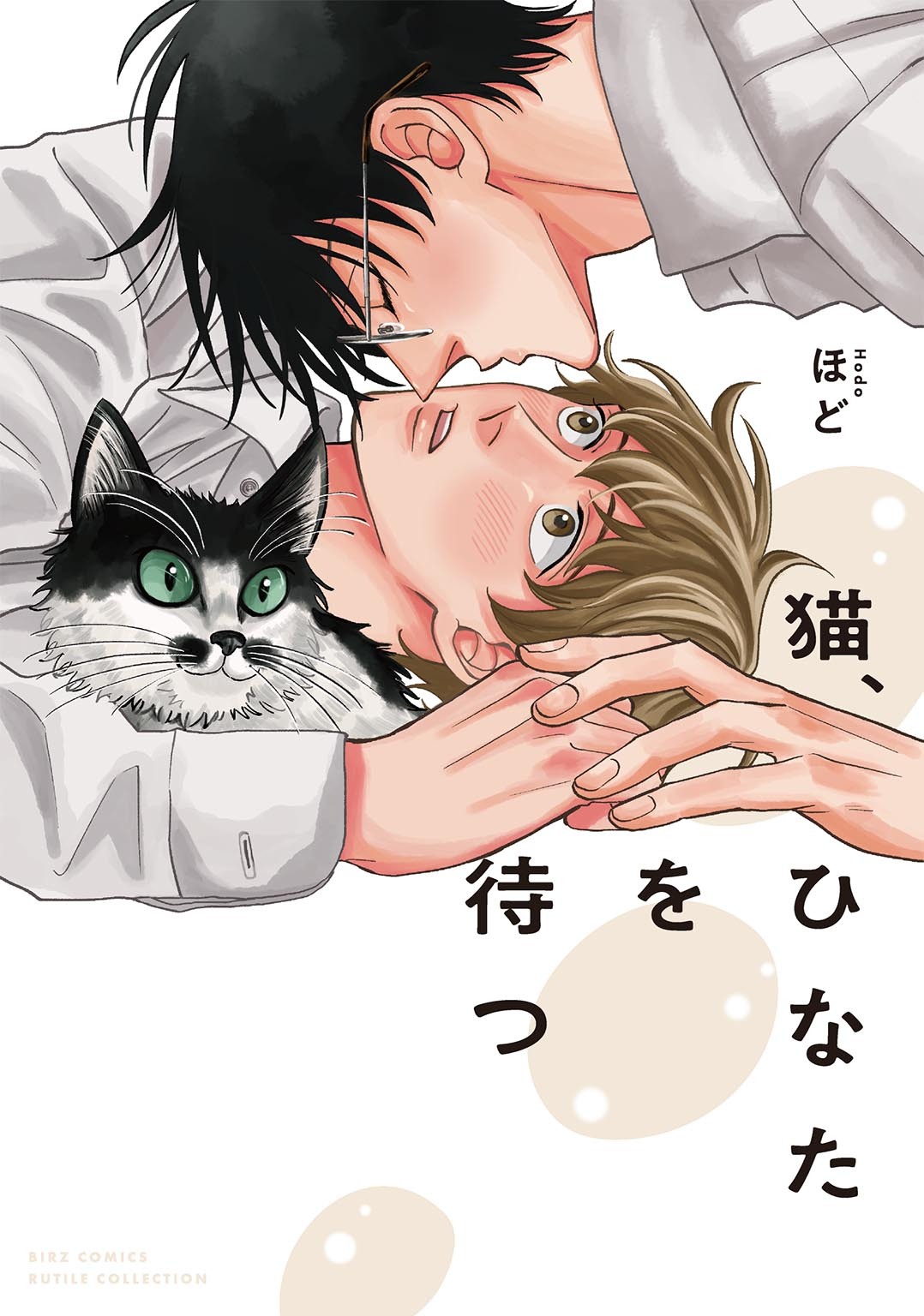 猫、ひなたを待つ
