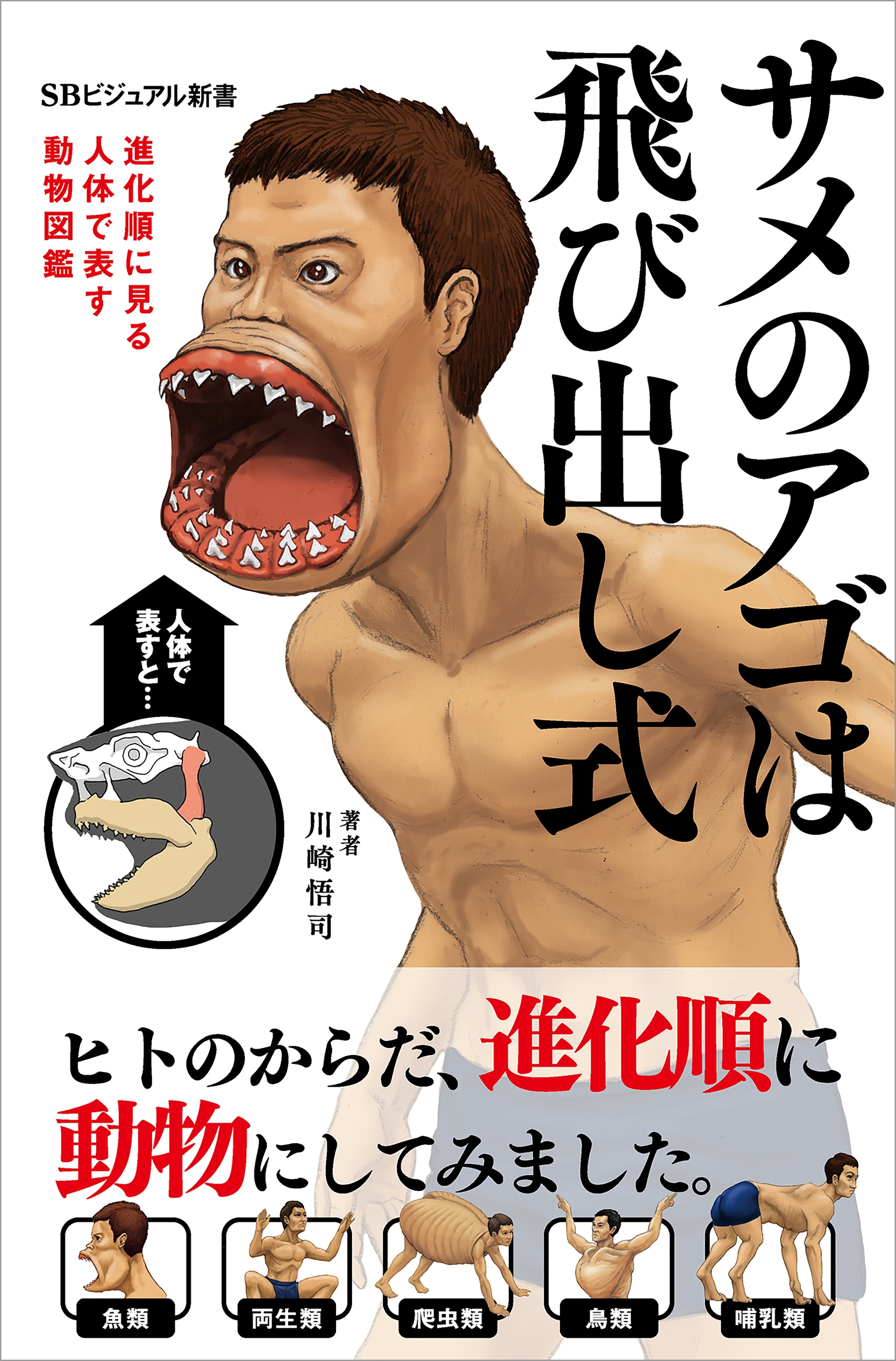 サメのアゴは飛び出し式