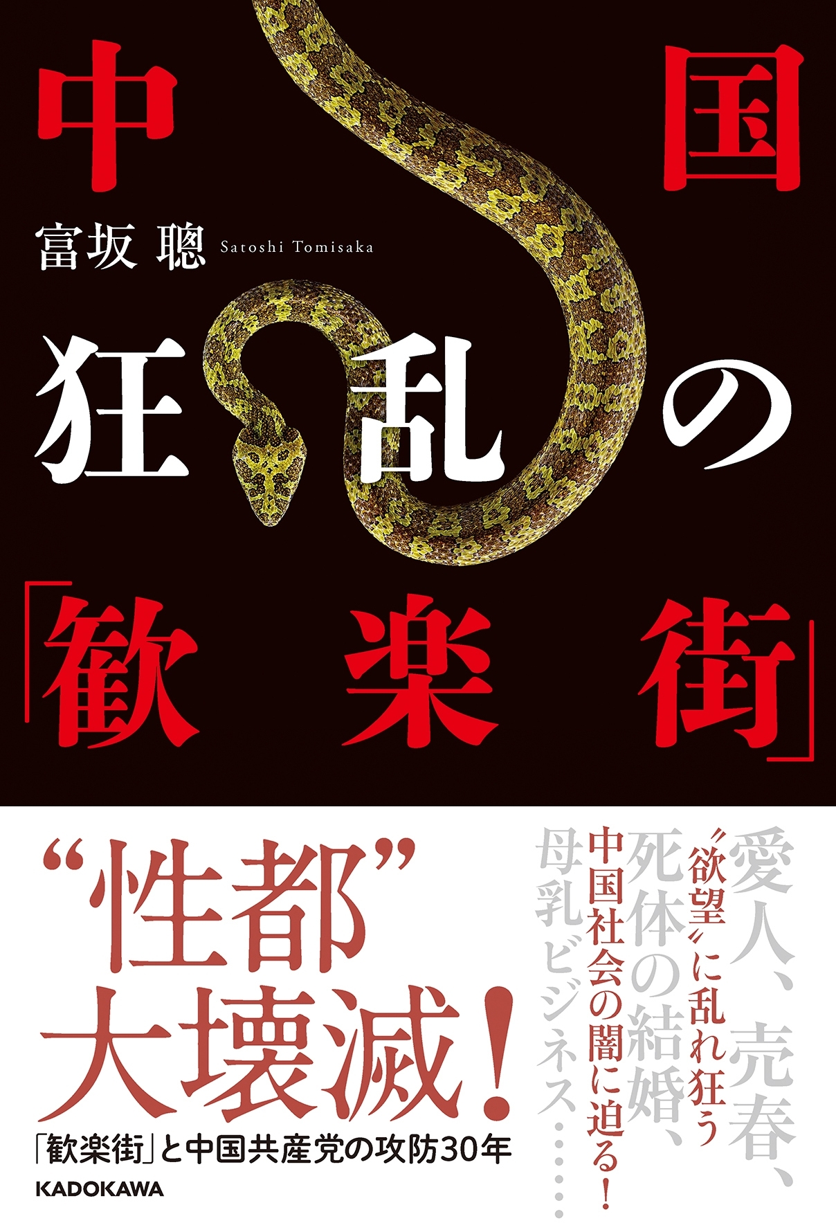 中国　狂乱の「歓楽街」