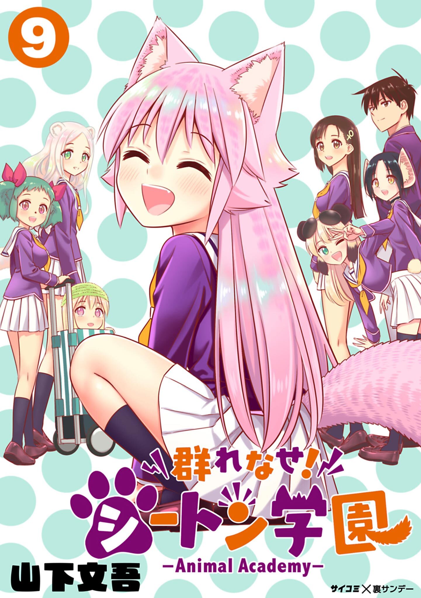 群れなせ！ シートン学園 DVD 全巻 セット アニメ 山下文吾 Yahoo!オークション - 群れなせ シートン学園 レンタル版 DVD
