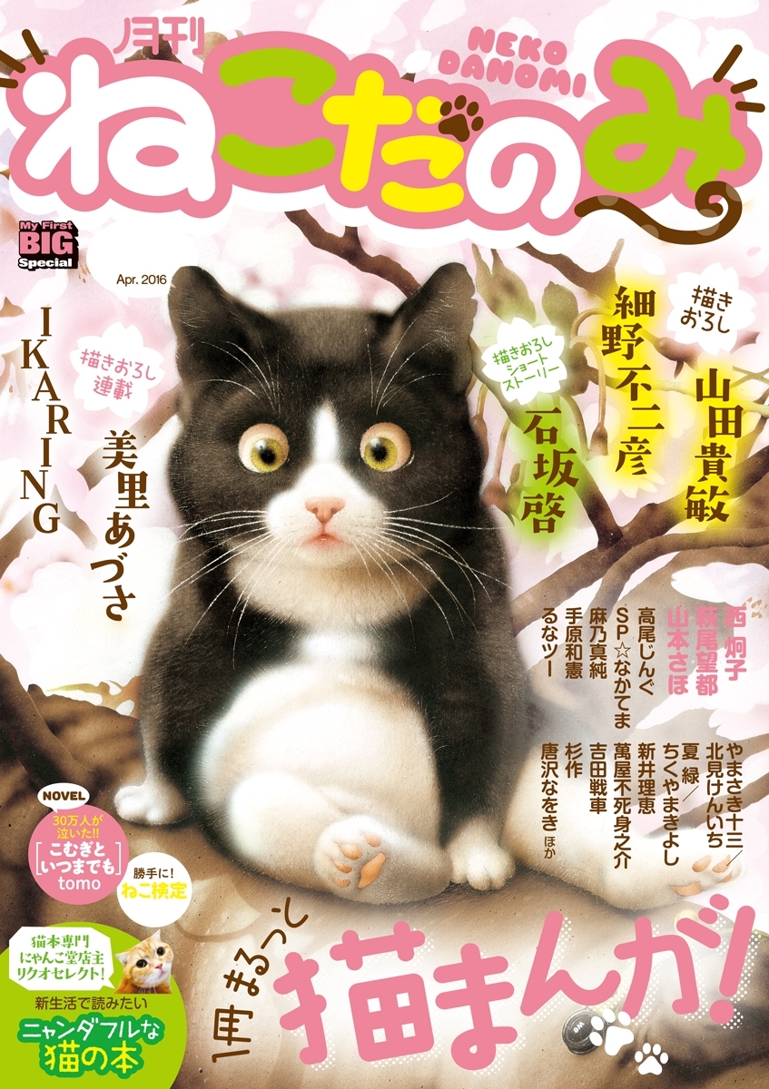 月刊ねこだのみ　Ｖｏｌ．　4