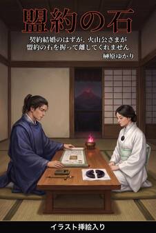 契約結婚のはずが、火山公さまが盟約の石を握って離してくれません(挿絵版)