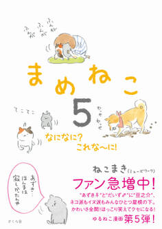 まめねこ5 なになに? これな~に!