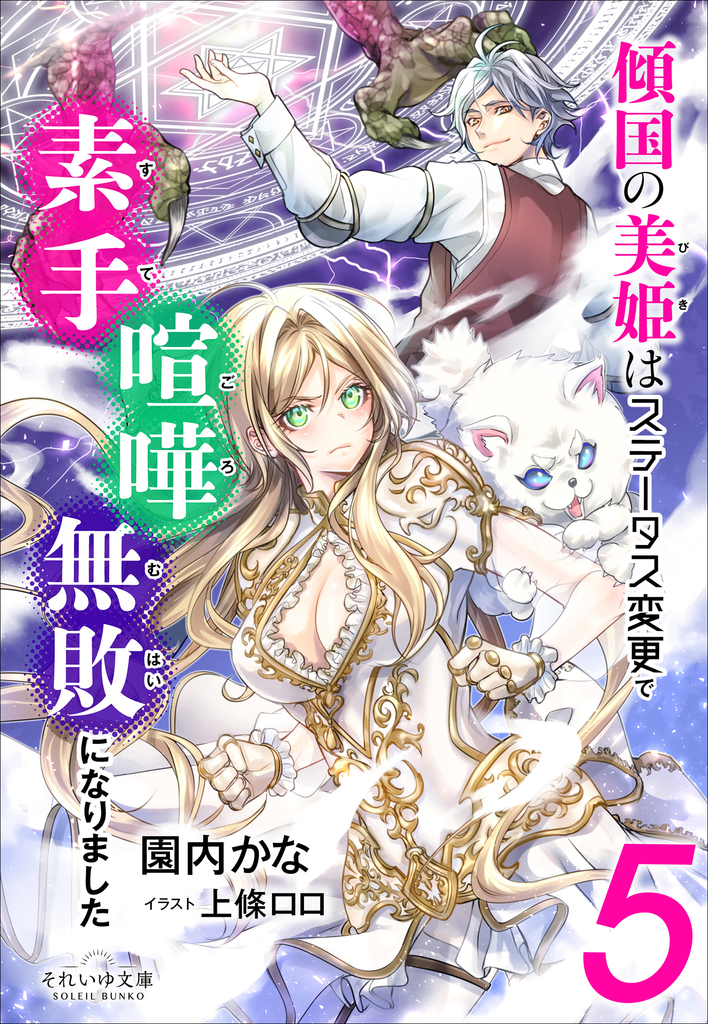 傾国の美姫はステータス変更で素手喧嘩無敗になりました