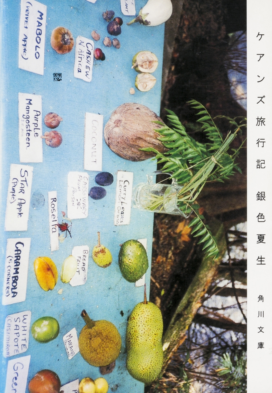 ケアンズ旅行記