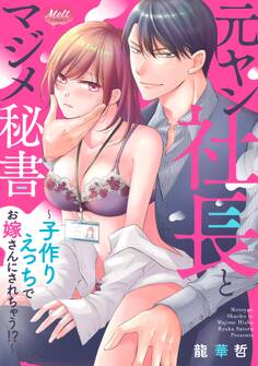 元ヤン社長とマジメ秘書 ~子作りえっちでお嫁さんにされちゃう!?~【単行本】