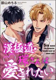 漢極道・環さんは愛されたい(分冊版)