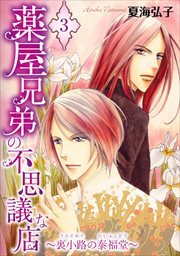 薬屋兄弟の不思議な店～裏小路の泰福堂～3