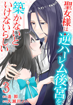 聖女様は逆ハーレム後宮を築かないといけないらしい(3)【おまけ描き下ろし付き】