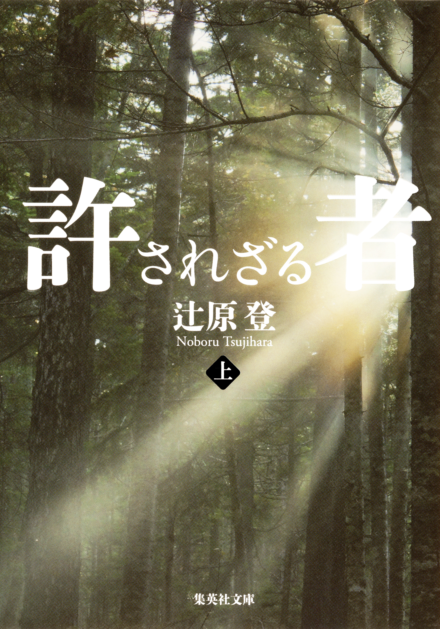 許されざる者　上