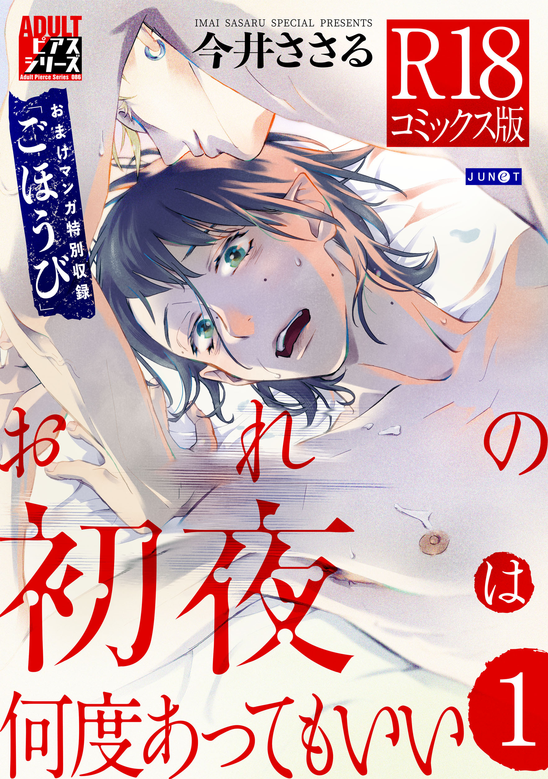 おれの初夜は何度あってもいい 1【R18コミックス版】