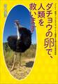 ダチョウの卵で、人類を救います アトピー、新型インフルエンザ、HIVも撃墜する夢の抗体発見秘話