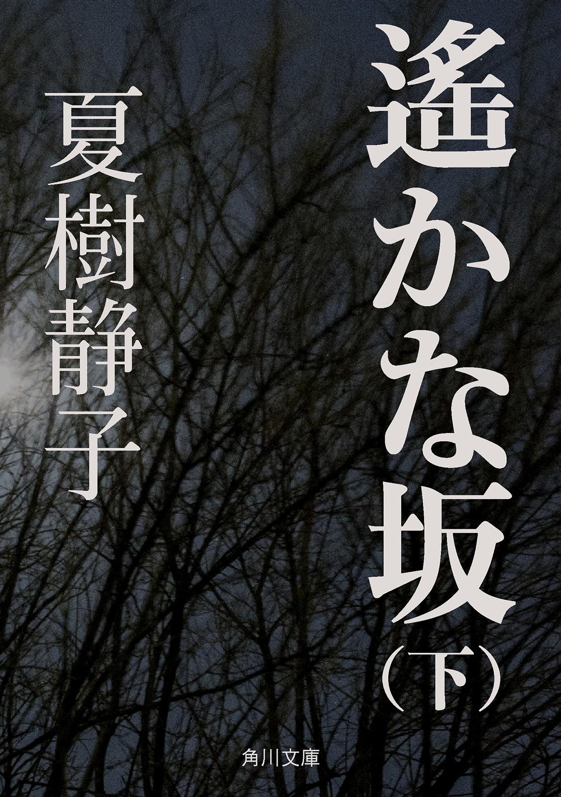 遙かな坂