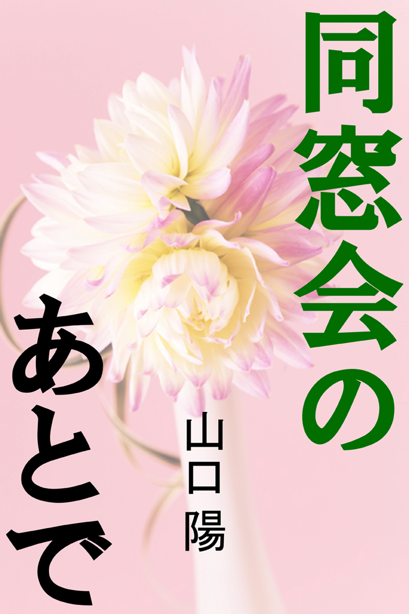 同窓会のあとで