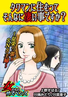 タワマンに住むってそんなに凄い事ですか?~見栄っ張りSNS主婦~
