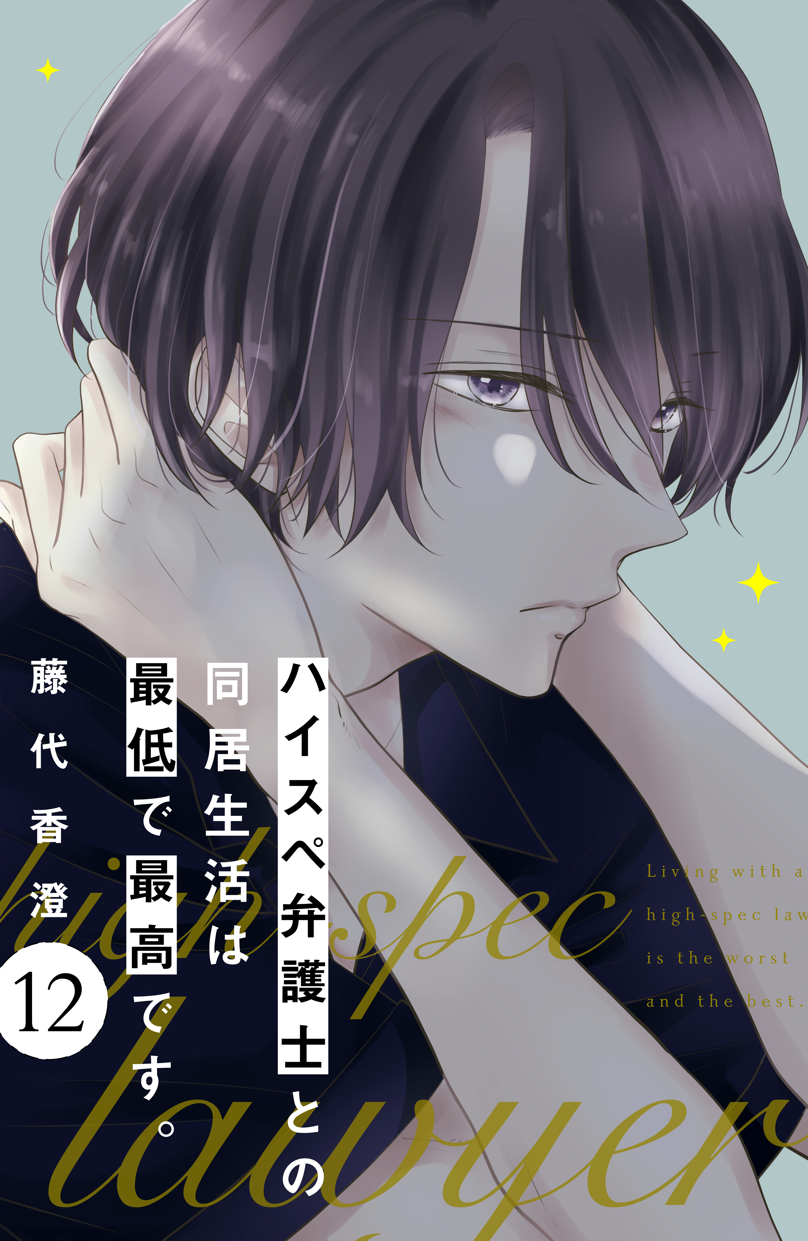 ハイスペ弁護士との同居生活は最低で最高です。　分冊版（12）