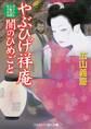 やぶひげ祥庵 闇のひめごと