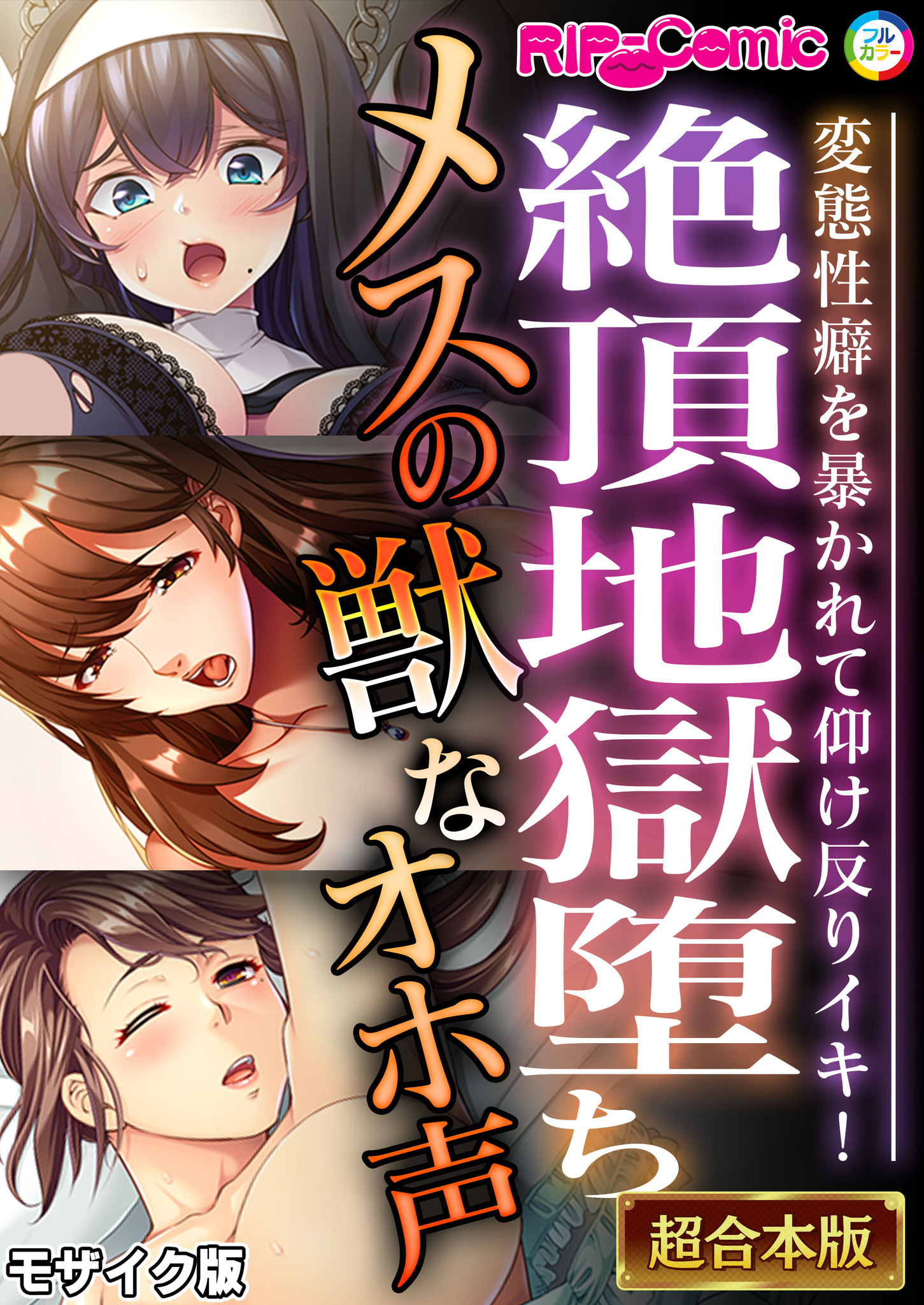 絶頂地獄堕ちメスの獣なオホ声 ～変態性癖を暴かれて仰け反りイキ！～【超合本シリーズ】 モザイク版