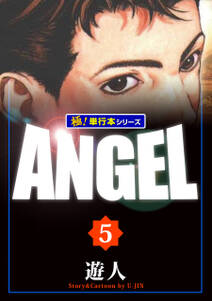 ANGEL【極！単行本シリーズ】