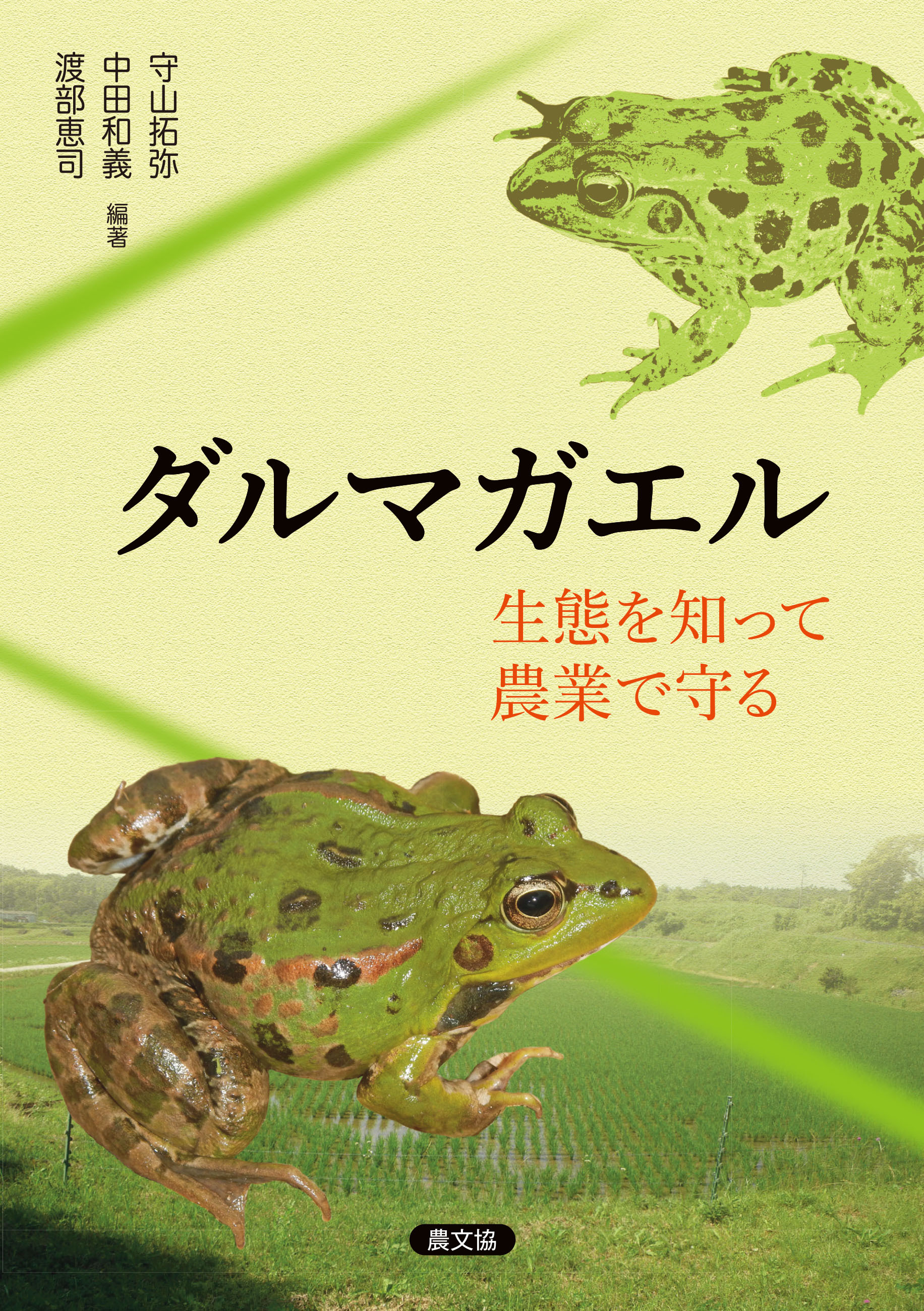 ダルマガエル　生態を知って農業で守る