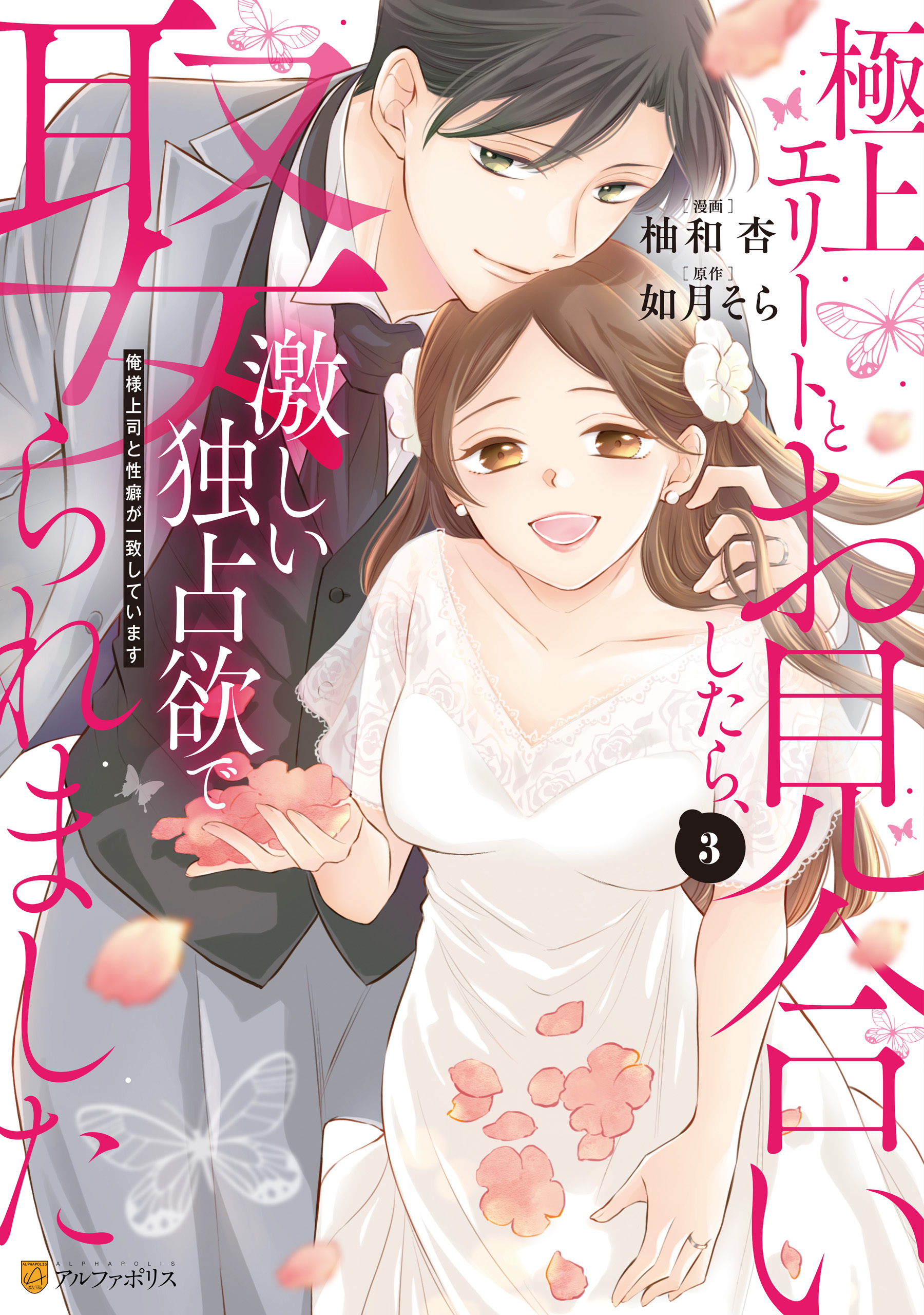 極上エリートとお見合いしたら、激しい独占欲で娶られました　俺様上司と性癖が一致しています３