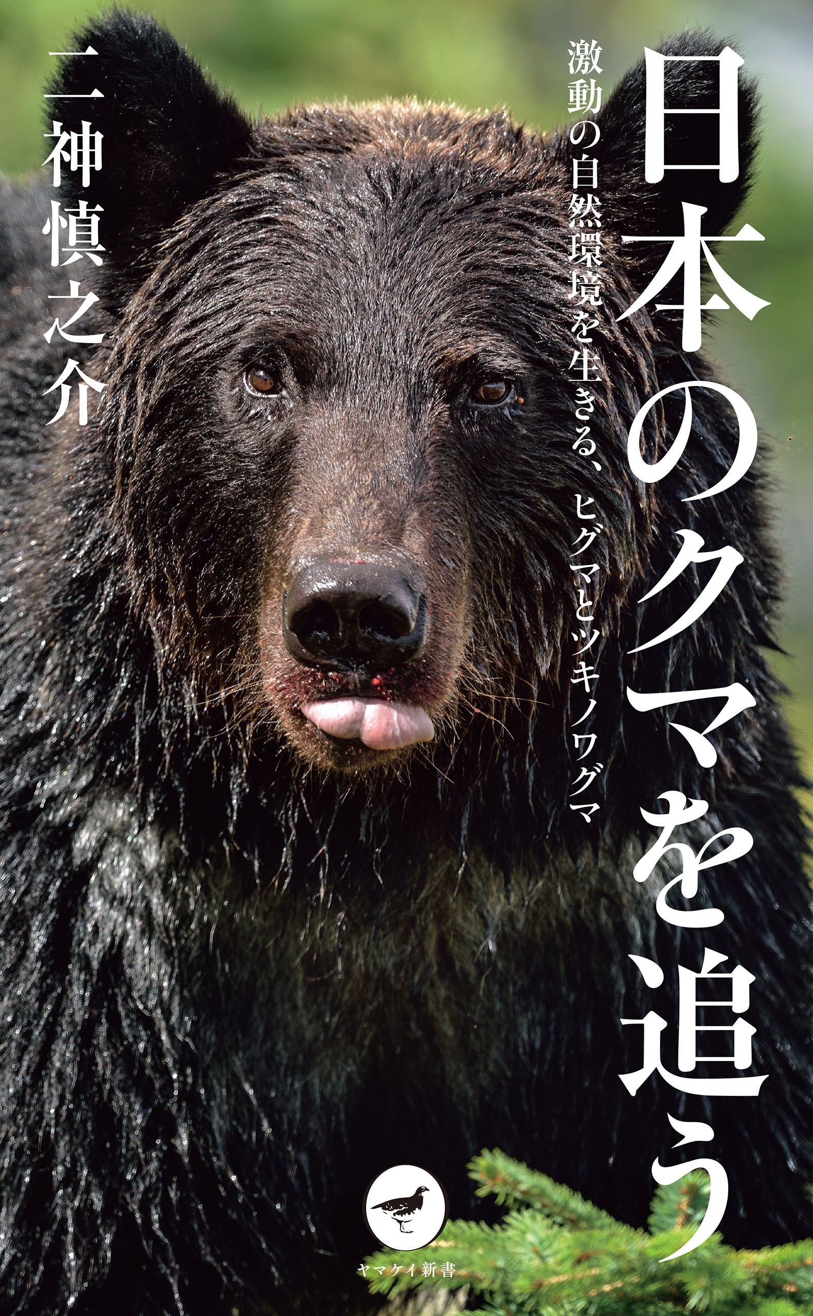 ヤマケイ新書 日本のクマを追う 激動の自然環境を生きる、ヒグマとツキノワグマ