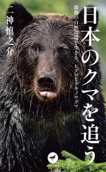ヤマケイ新書 日本のクマを追う 激動の自然環境を生きる、ヒグマとツキノワグマ