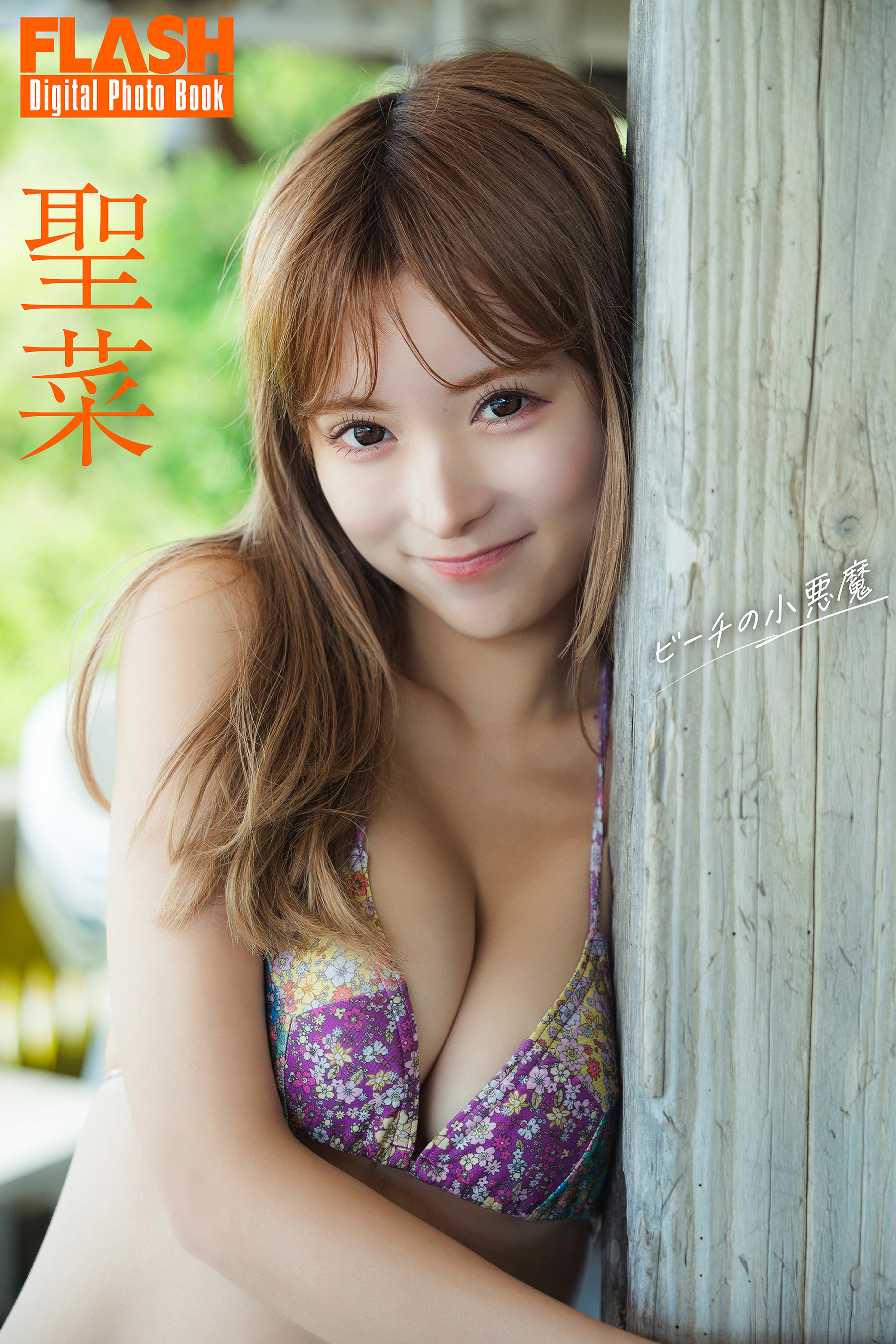 FLASHデジタル写真集　聖菜　ビーチの小悪魔