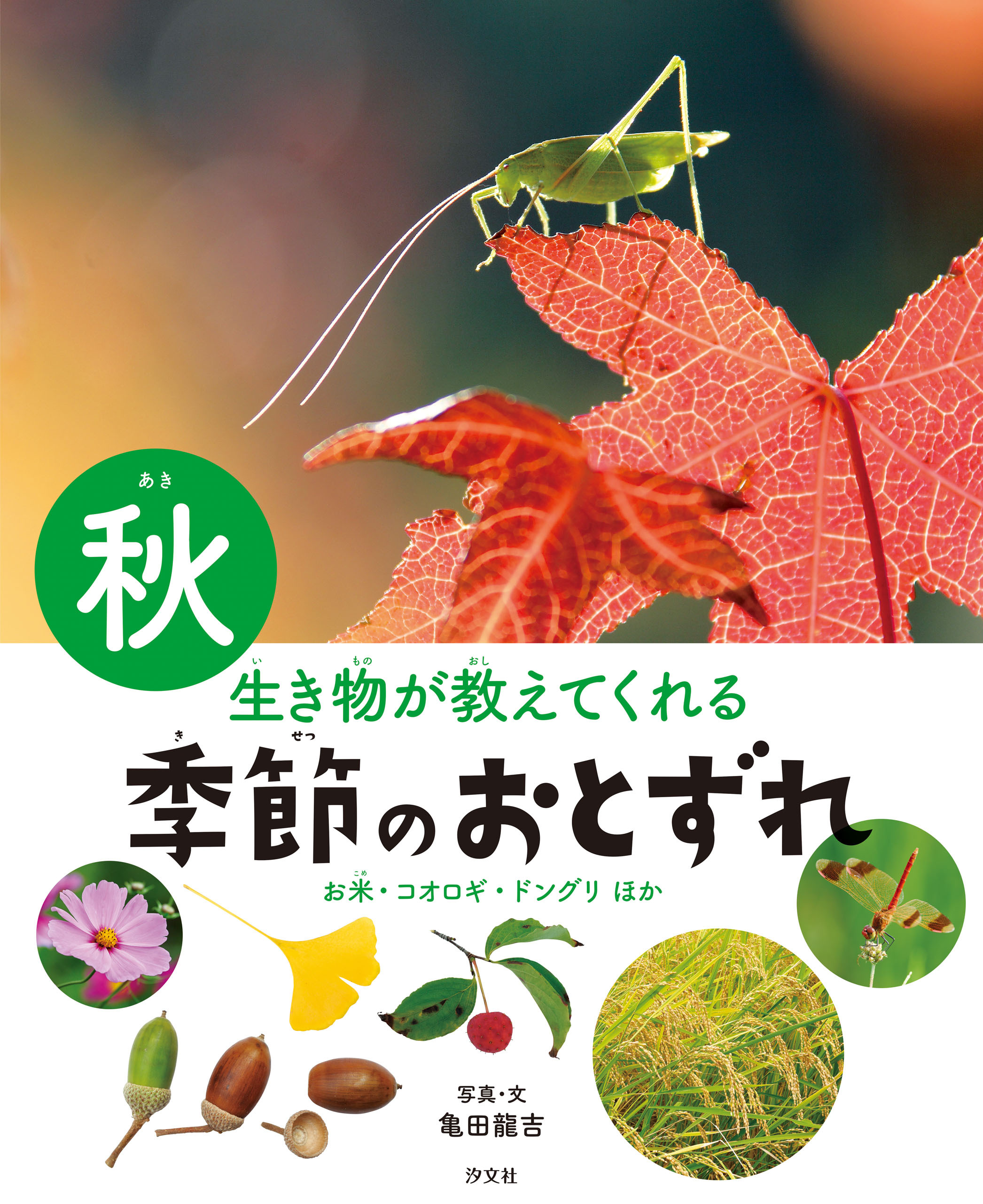 生き物が教えてくれる 季節のおとずれ 秋 お米・コオロギ・ドングリほか