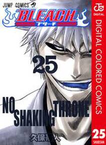 Bleach カラー版 25 無料 試し読みなら Amebaマンガ 旧 読書のお時間です Bleach カラー版 25 無料 試し読みなら Amebaマンガ 旧 読書のお時間です