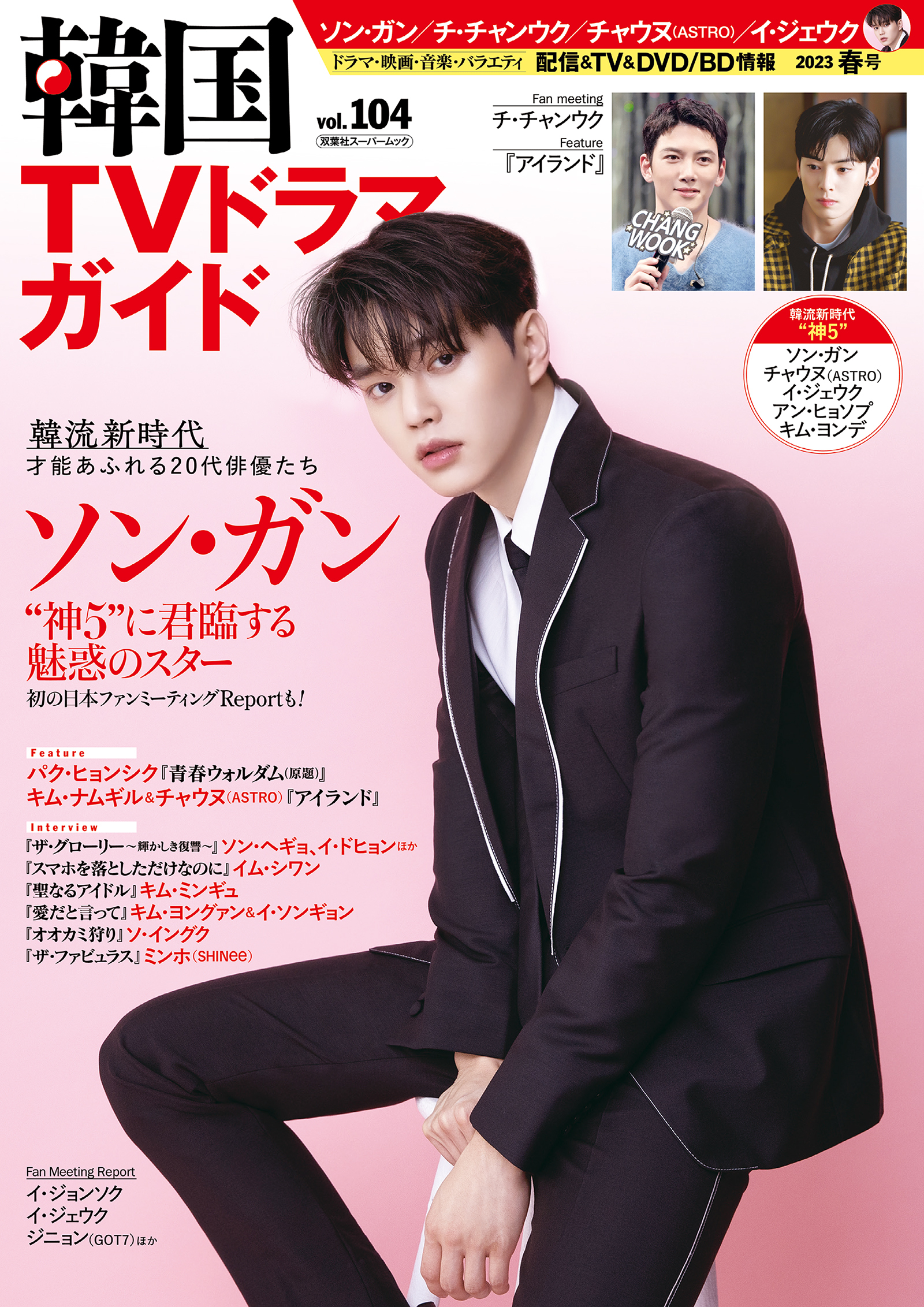 韓国TVドラマガイド vol.104