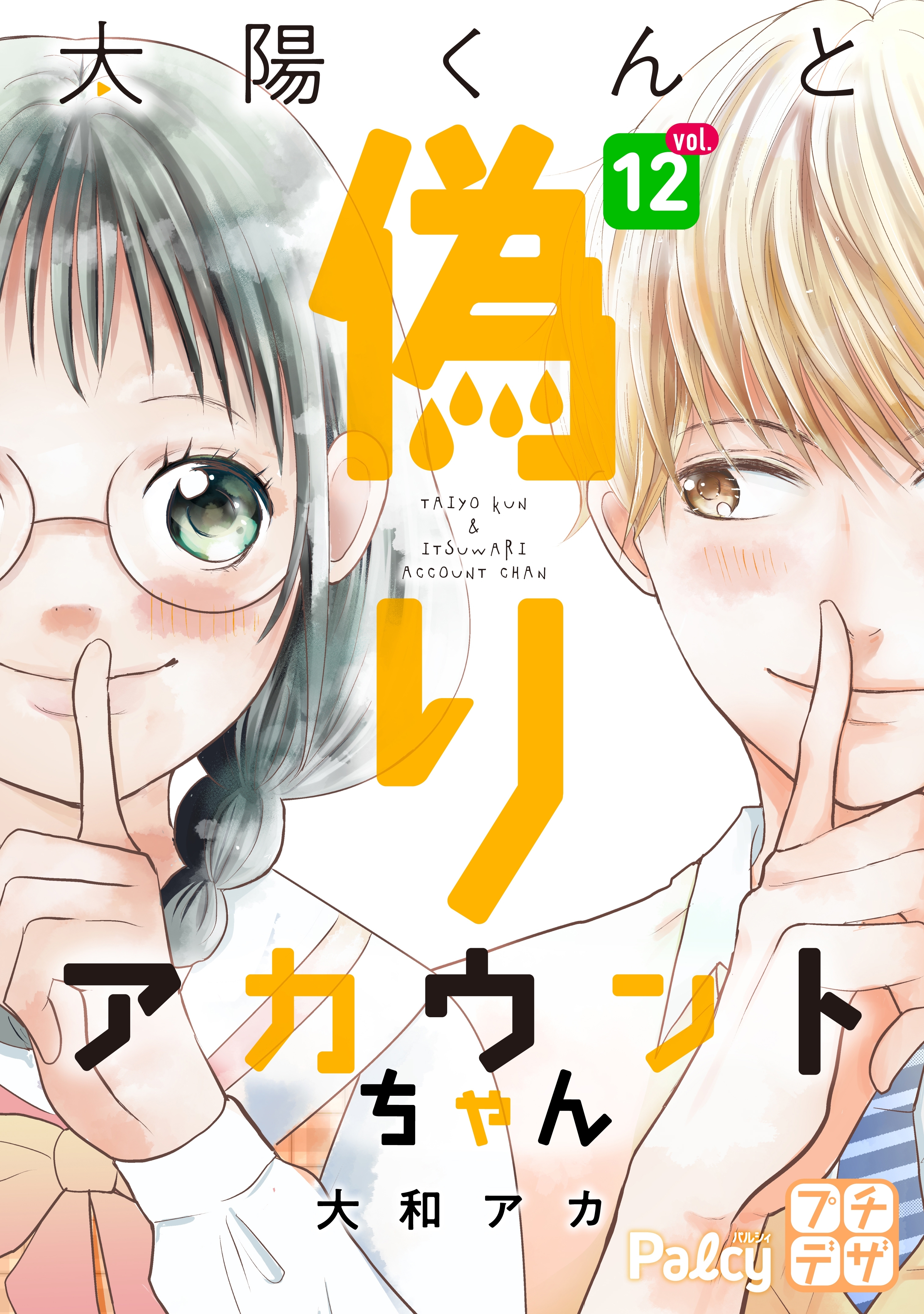 太陽くんと偽りアカウントちゃん　プチデザ（12）