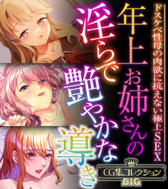 年上お姉さんの淫らで艶やかな導き ~ドスケベ性母の肉欲に抗えない極上SEX~【CG集コレクションBIG】