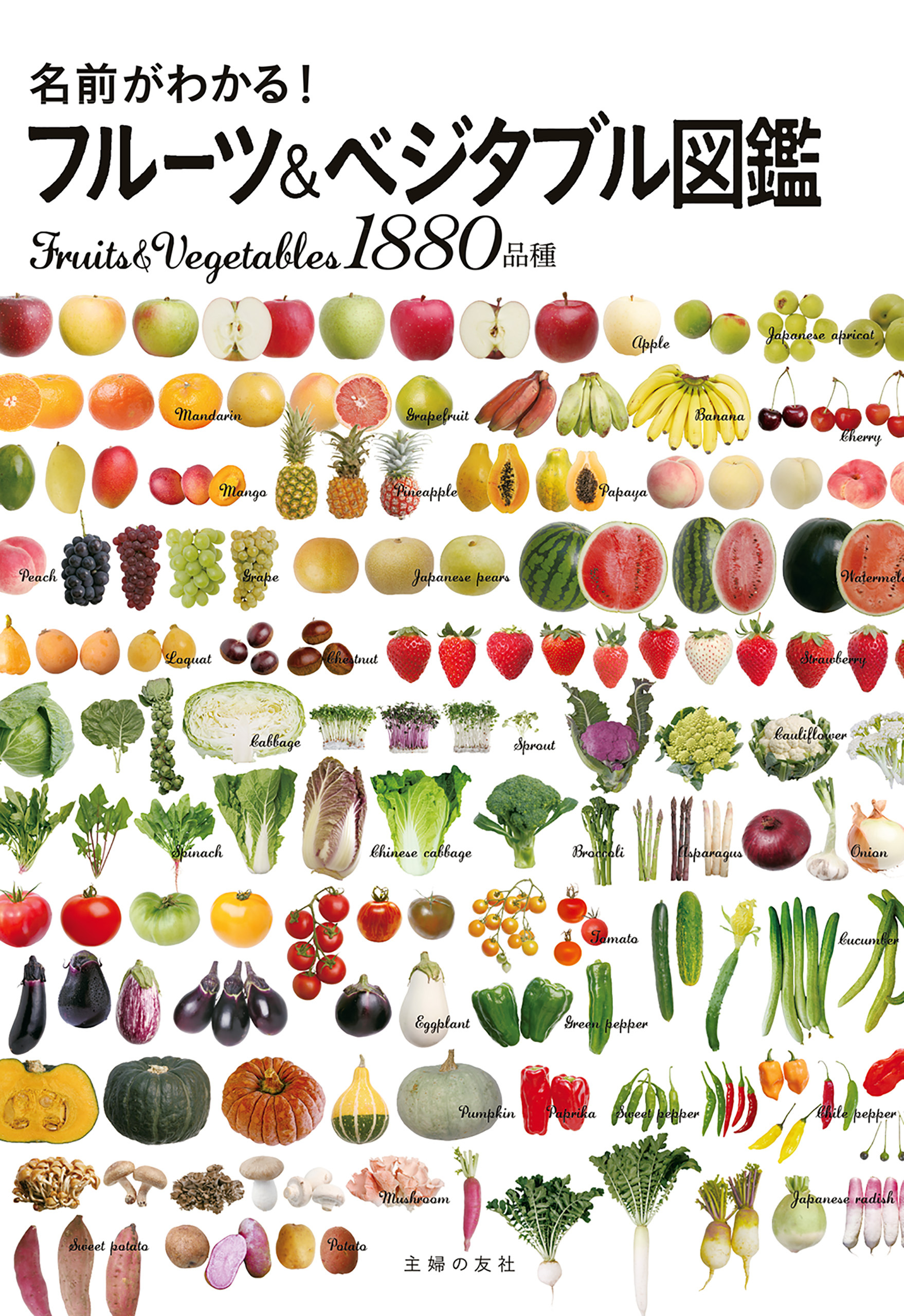名前がわかる！フルーツ＆ベジタブル図鑑