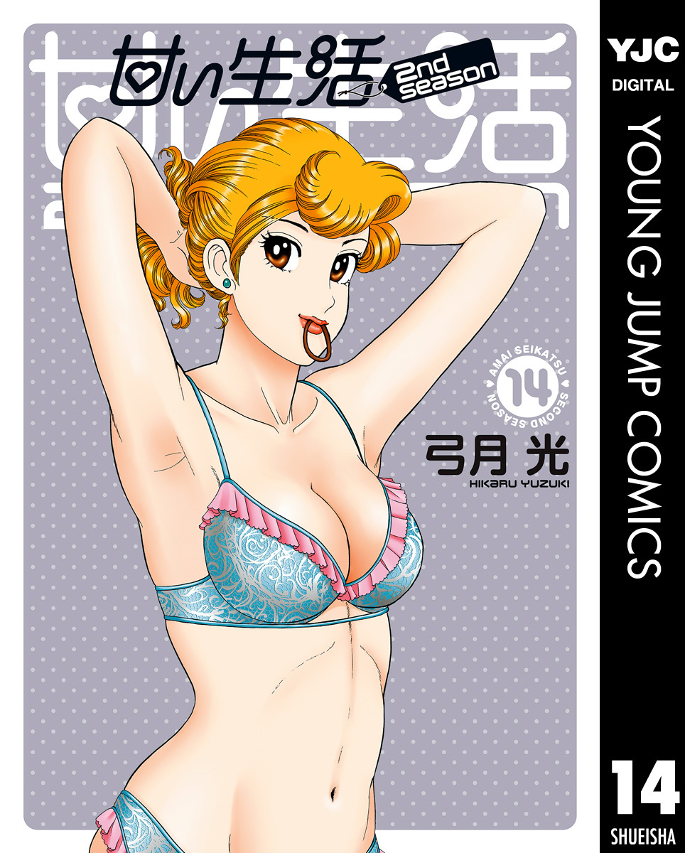 甘い生活 2nd season 14