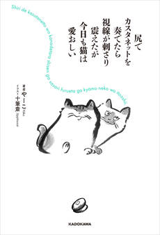 尻でカスタネットを奏でたら視線が刺さり震えたが今日も猫は愛おしい